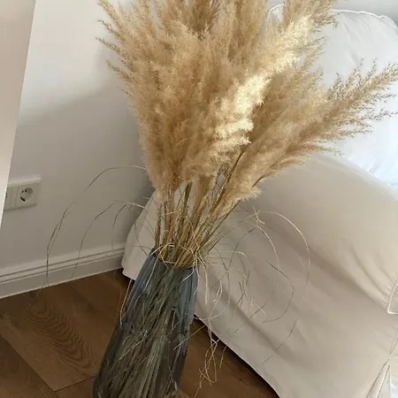 Mit Balkon Und Garten Og Διαμέρισμα *